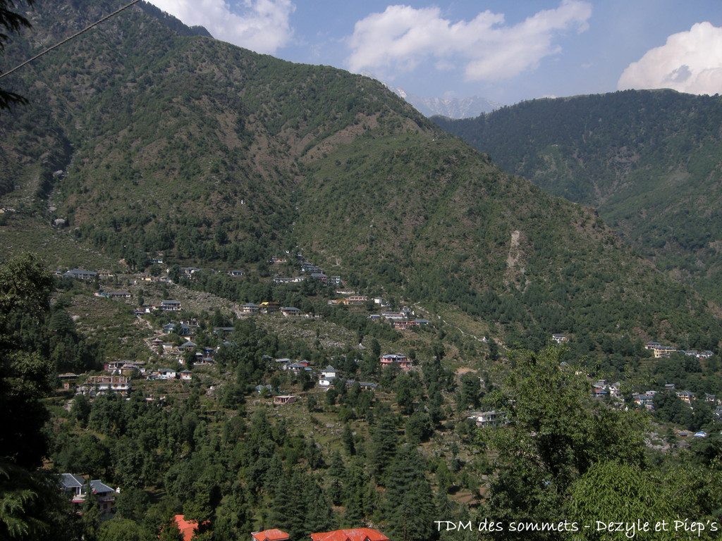 Dharamkot