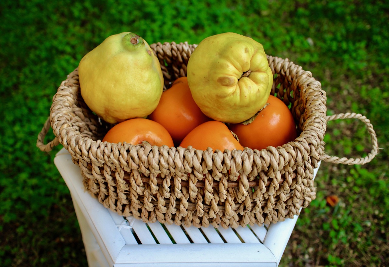 Mela Cotogna: Proprietà, Benefici e Ricette Naturali per Risvegliare un Frutto Dimenticato