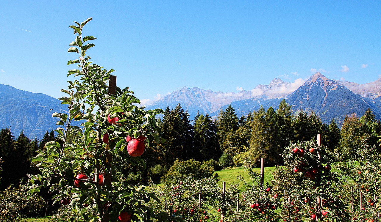 Prodotti Biologici dell’Alto Adige: Il Segreto del Benessere Naturale da Portare in Tavola Ogni Giorno