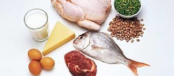 Proteínas y recuperación de entrenamientos