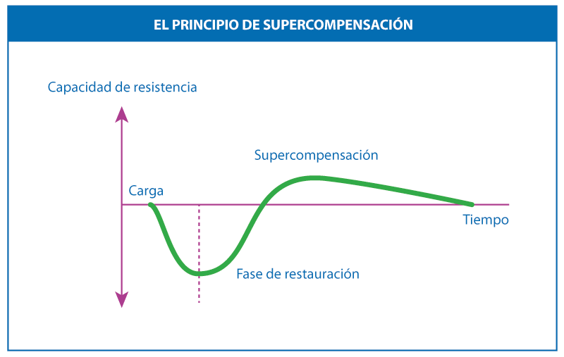 El principio de Supercompensación