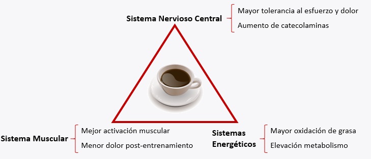 beneficios cafeína