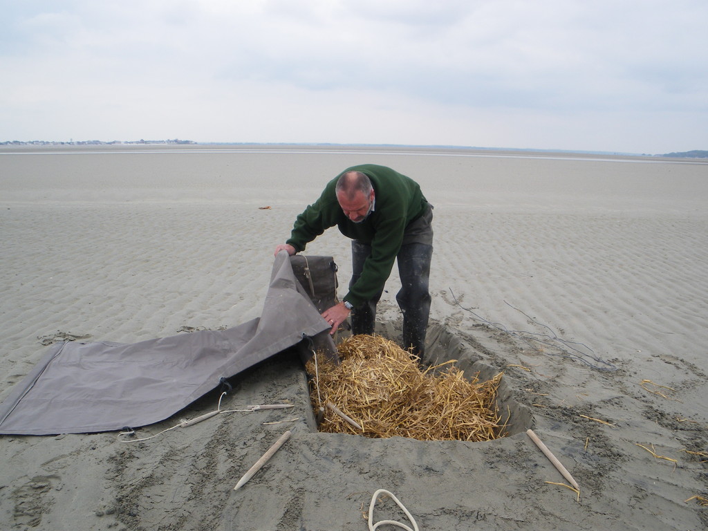 Répartir uniformément la paille pour éviter l'humidité du sable