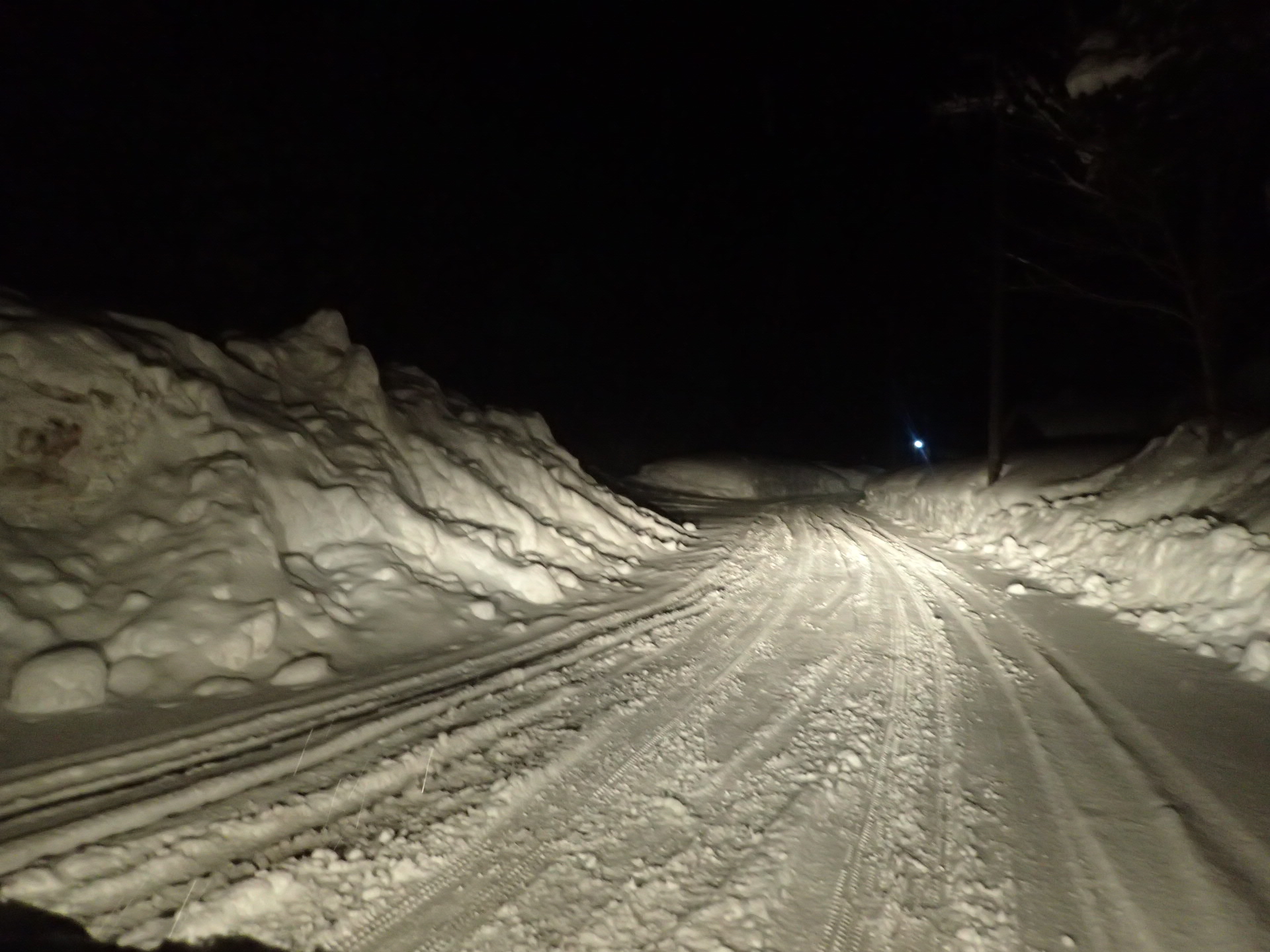夜の雪道はスリル満点だよ。