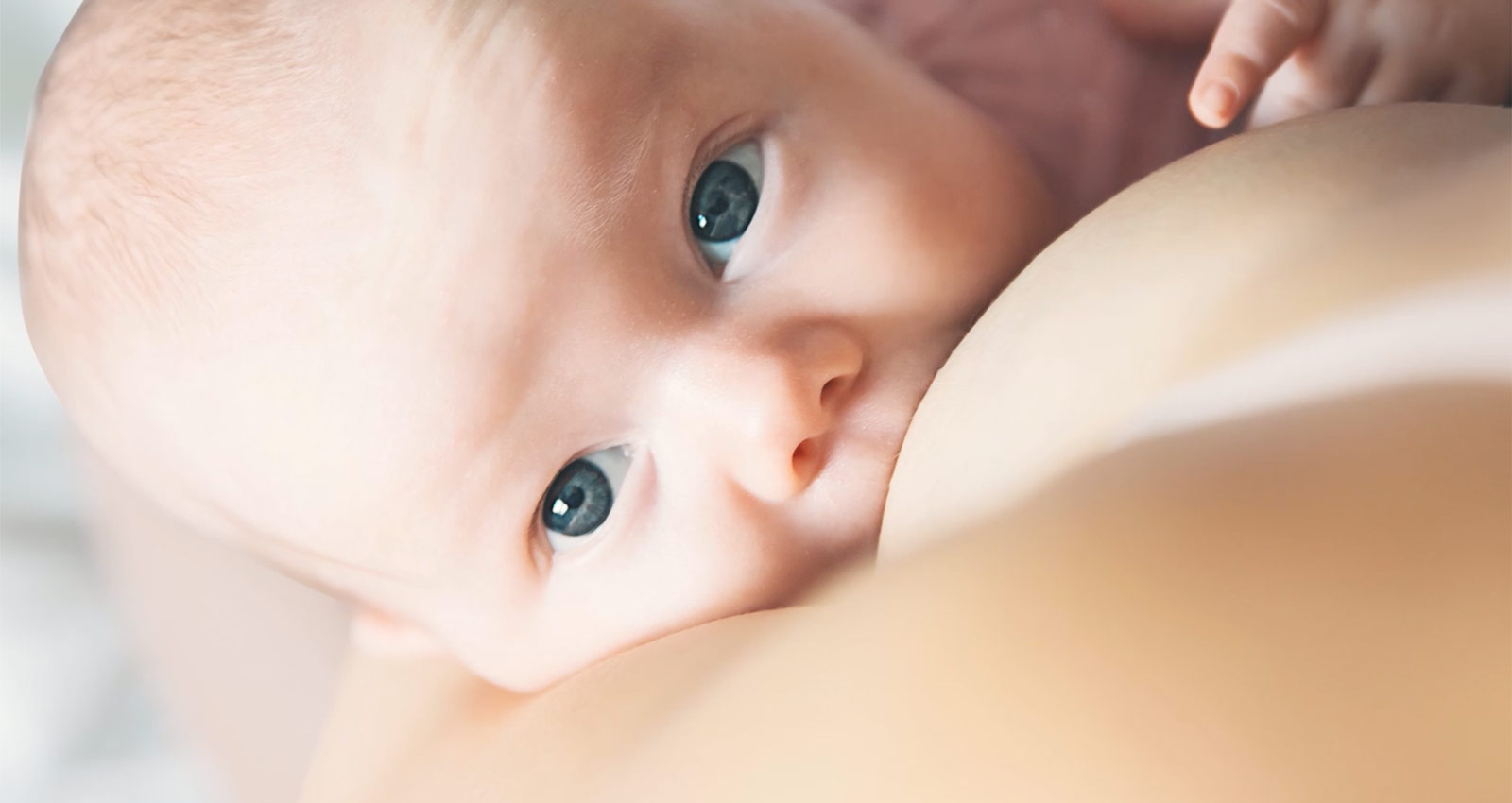 Neue Erkenntnisse, warum gestillte Babys ein besseres Immunsystem haben.