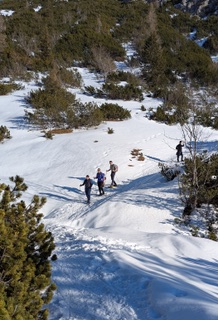 Team beim Schneeschuhwandern auf verschneitem Bergpfad Richtung Jenner-Gipfel – Teambuilding im Winter bei strahlendem Wetter.