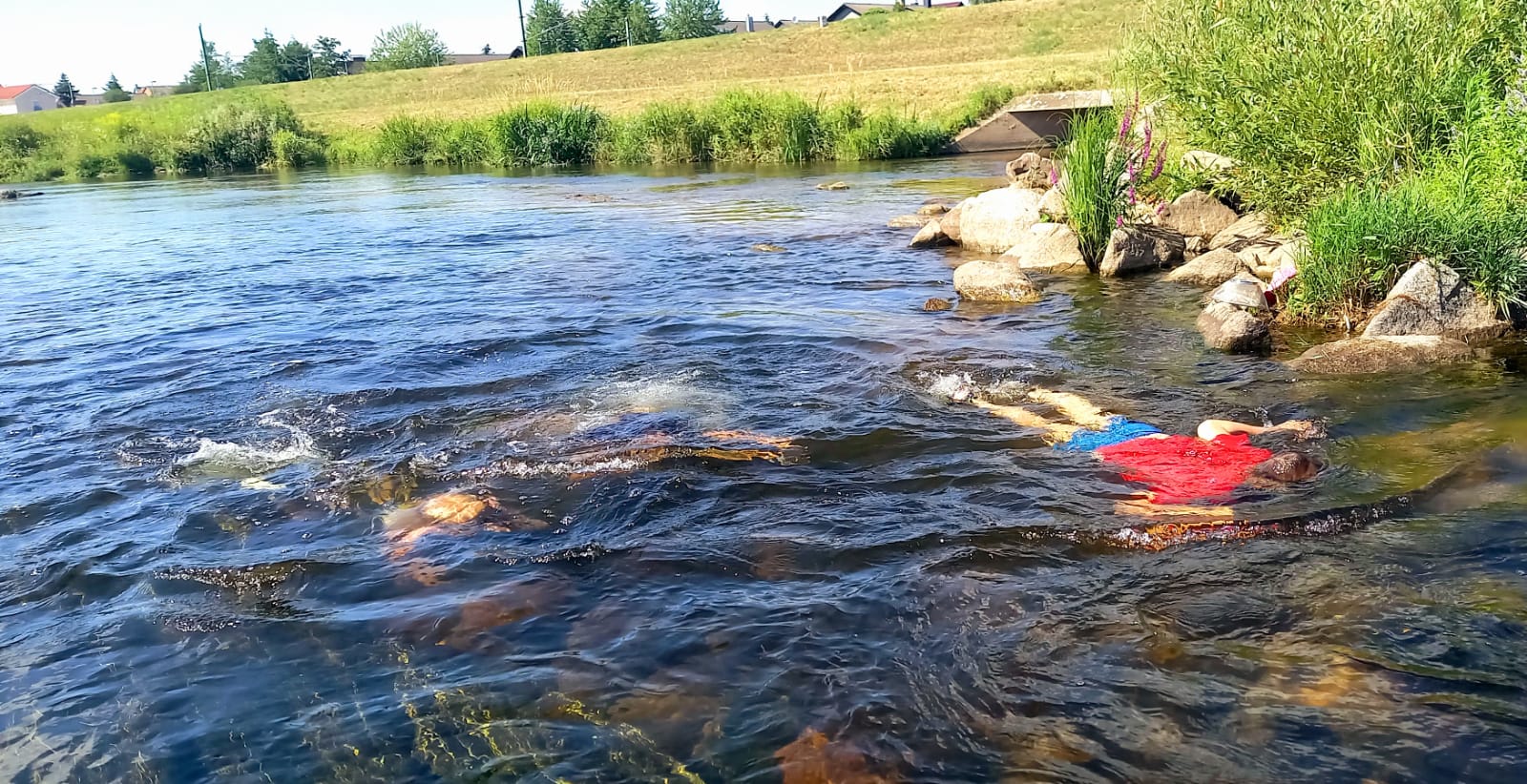 ...und Tauchen geht auch bei extremsten Niedrigwasser!