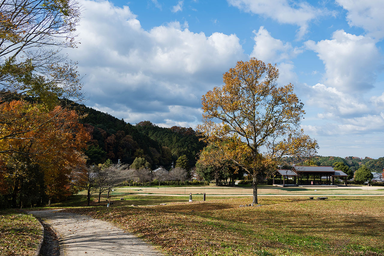 国営飛鳥歴史公園内石舞台周辺地区にあるので周りはキレイな公園。