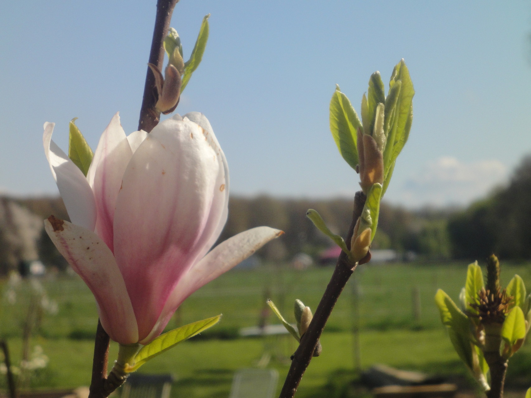 Natur in Köln