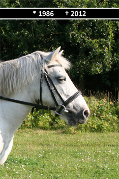 Freya 1986 - 2012