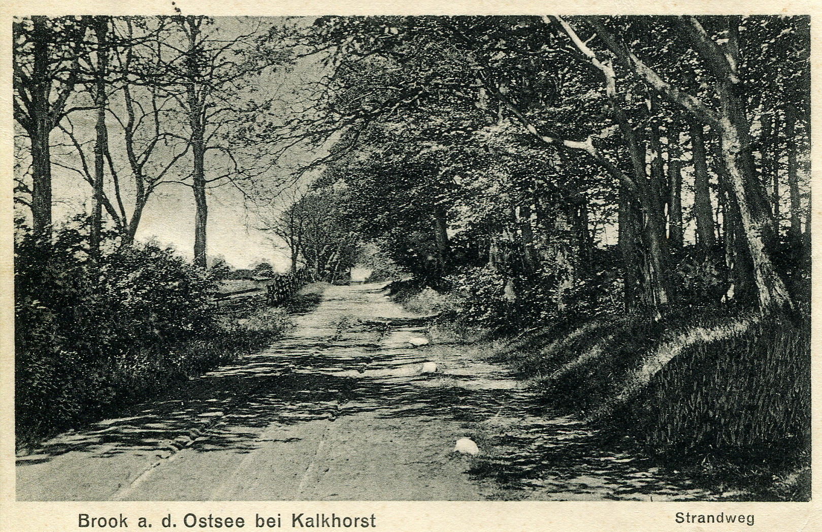 Brook Naturidylle an der Ostseeküste Gemeinde Kalkhorst an der