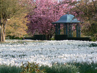 Foto: Norddeutsche Gartenschau