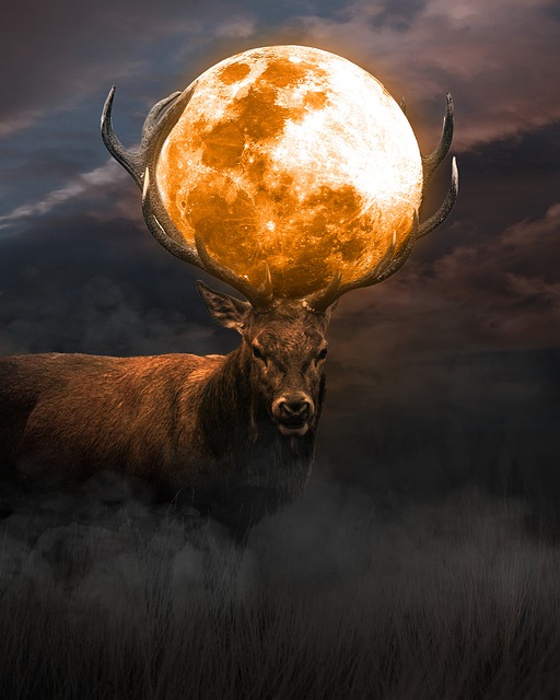 Vollmond im Steinbock – Geschäftsangelegenheiten erledigen, Verpflichtungen und Regeln, Sensibilität vs. Struktur!