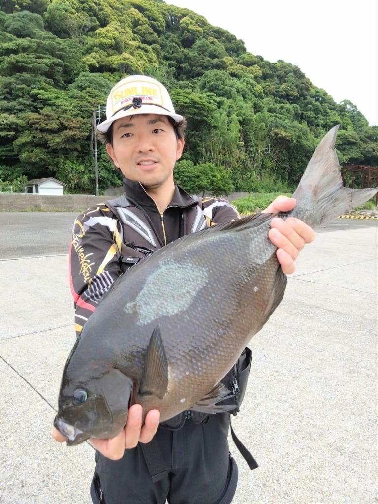 水島で尾長グレ55㎝やりましたー！