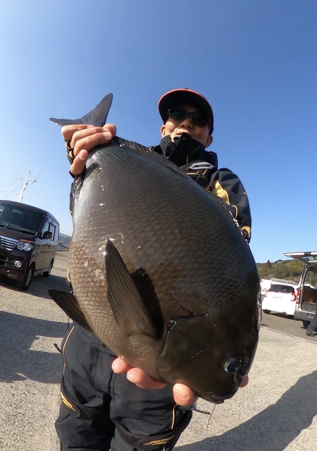九州から尾長グレ57㎝ゲットー！！