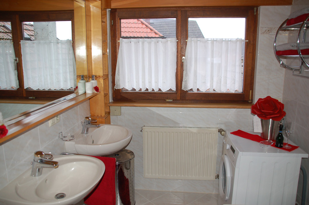salle de bain avec machine à laver