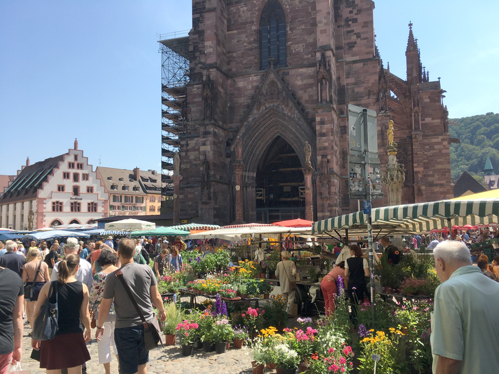 Freiburg im Breisgau, 50 Minuten entfernt