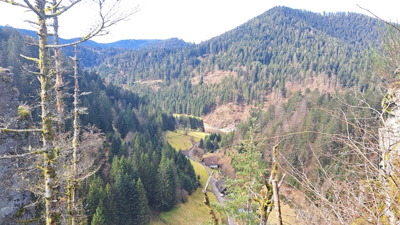 Blick ins Wolftal vom Burgbachwasserfall