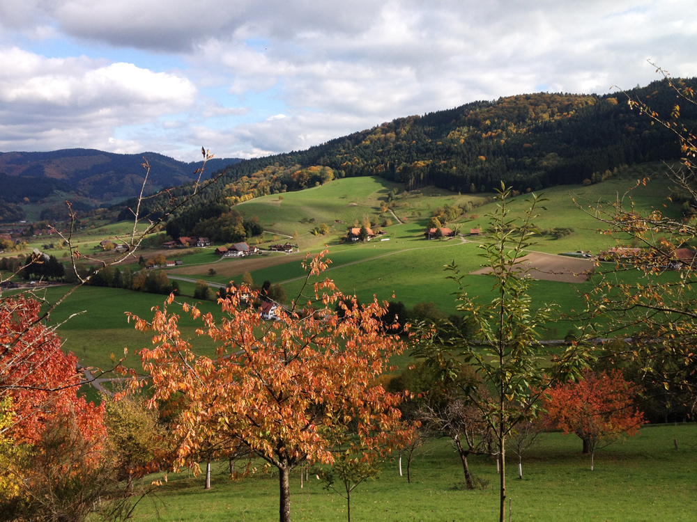 Herbst im Mittleren Schwarzwald