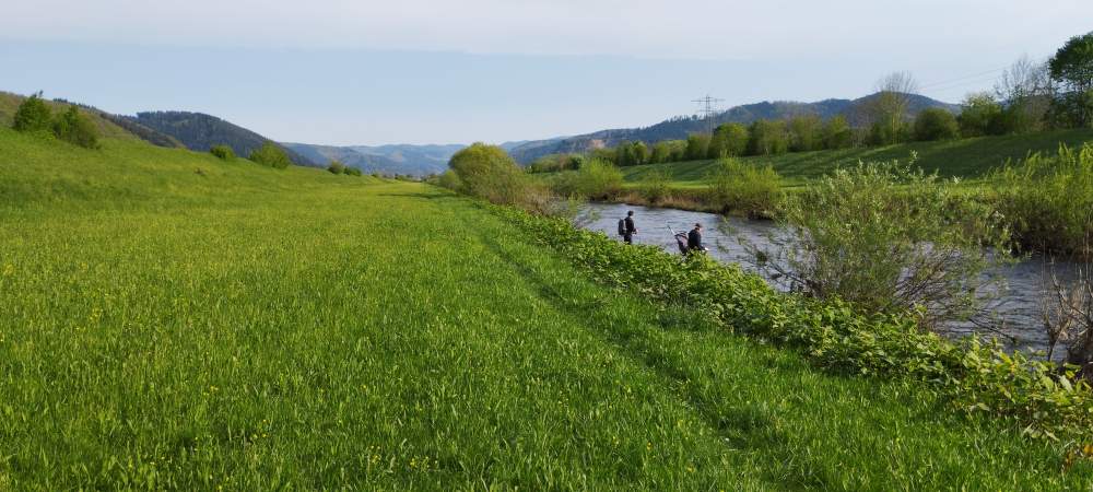 Angeln an der Kinzig
