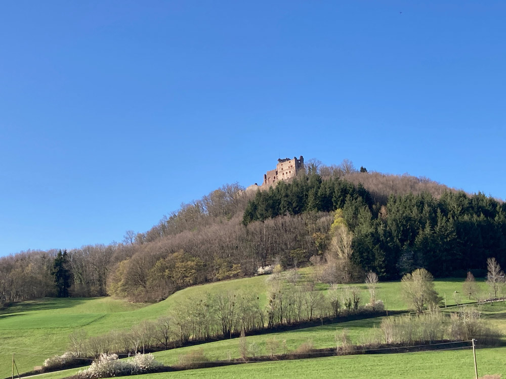 Ruines du château de Hohengeroldseck à 15 minutes