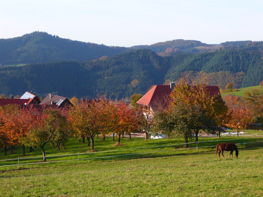 À proximité du terrain de golf de Harmersbachtal