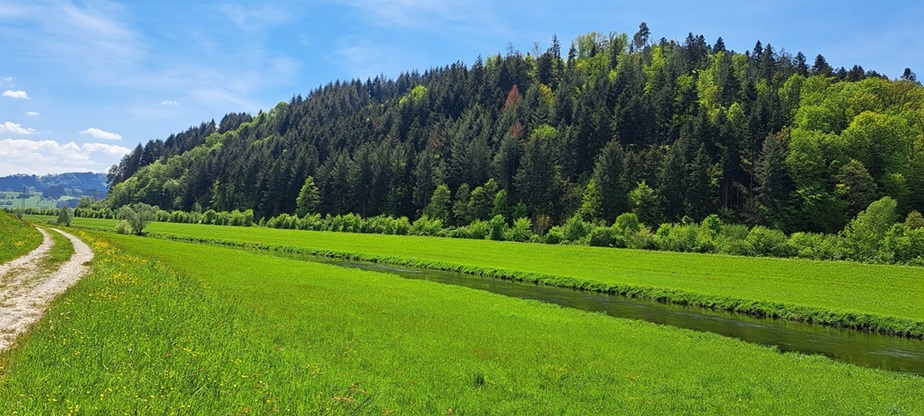 Blick auf die Kinzig 100m entfernt