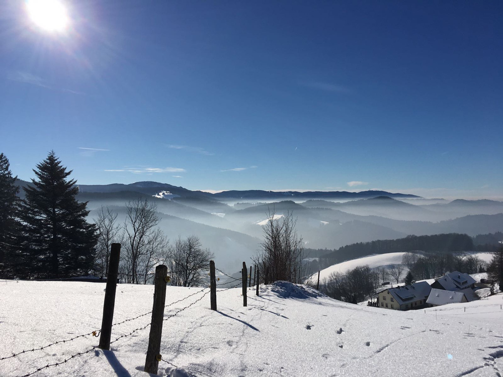 Magie hivernale de la Forêt-Noireer