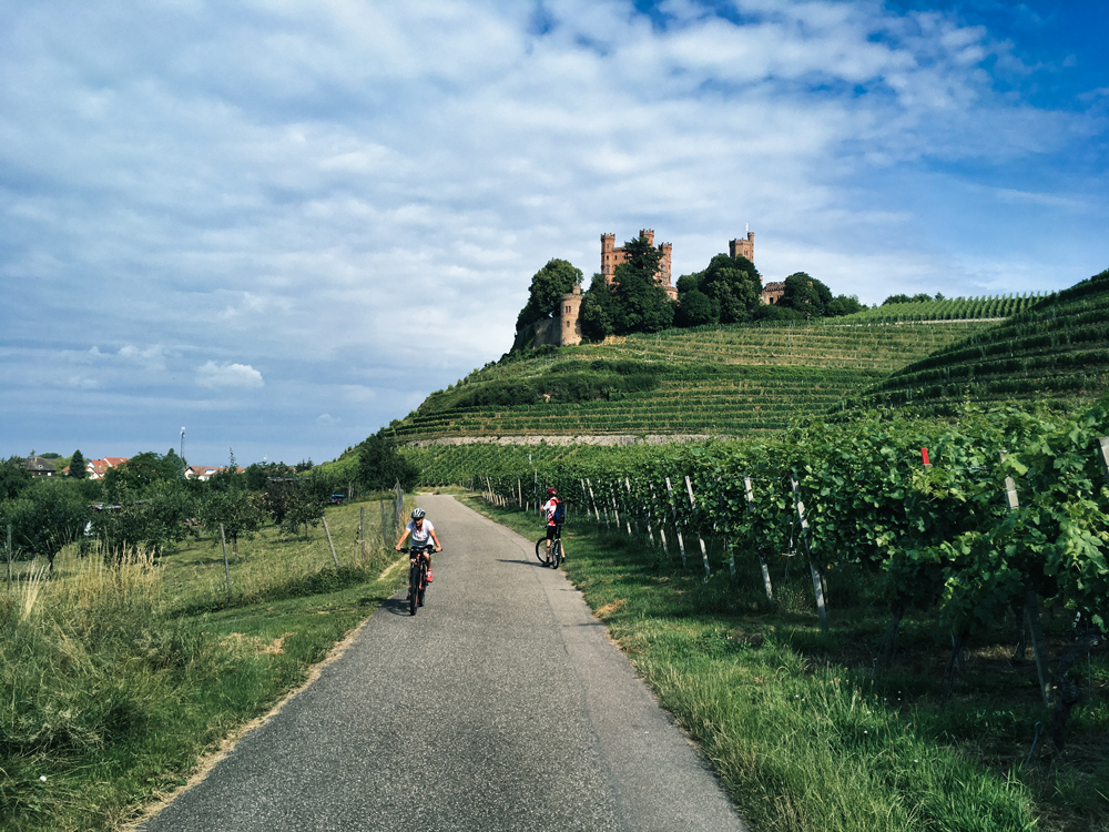 Kinzigtal-fietspad bij Ortenberg