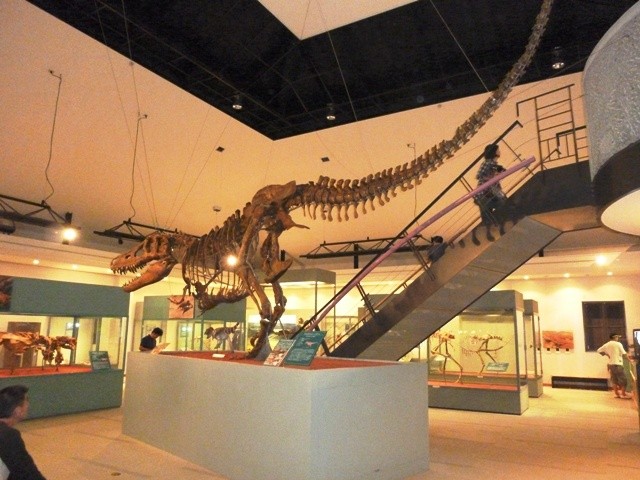 恐竜センター