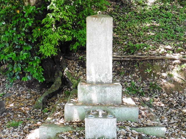 安中忠親の墓（桂昌寺）