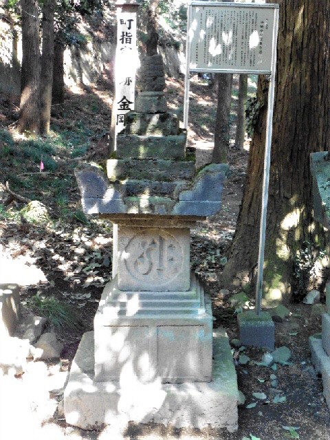 伝・桃井直常の墓（金剛寺跡）