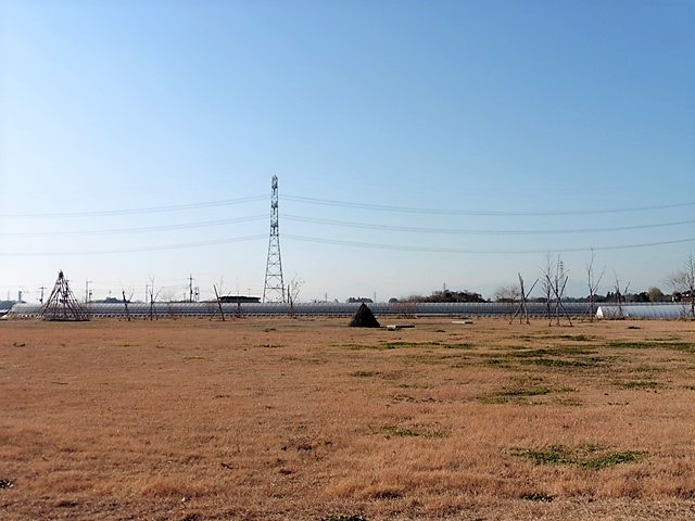 西鹿田中島遺跡