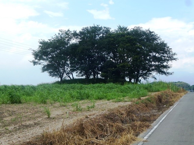 荒砥富士山古墳