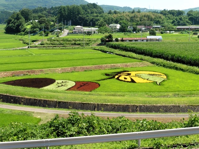 高山村 田んぼアート（２０２３年）