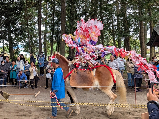 土師神社・花馬