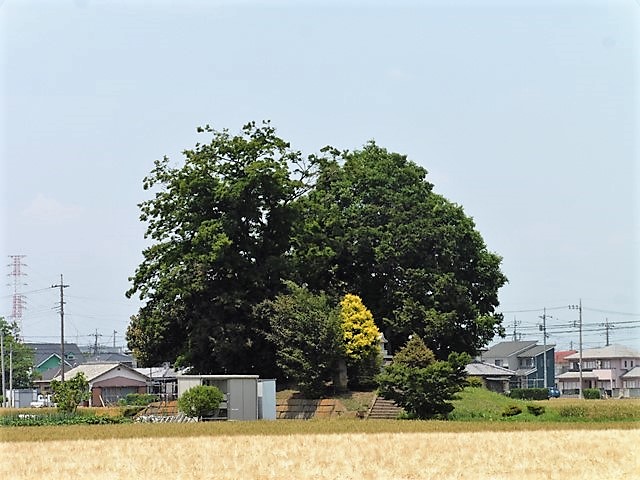 玉村町３３号墳（若王子古墳）