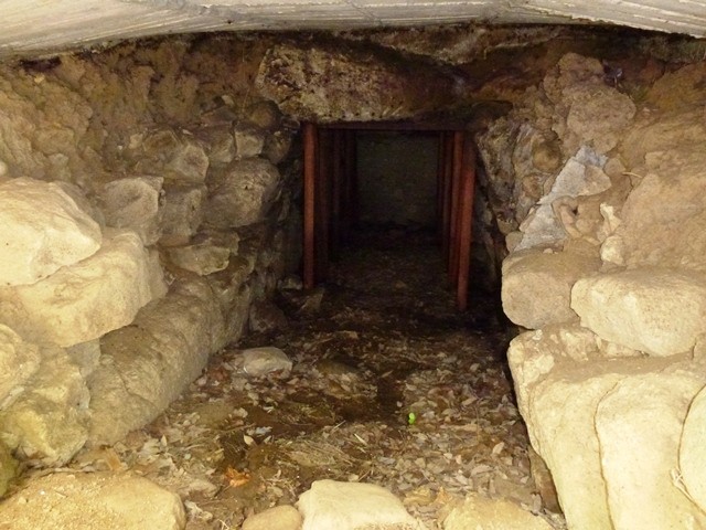 太田藪塚西山古墳（石室）