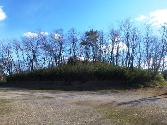 愛宕山古墳