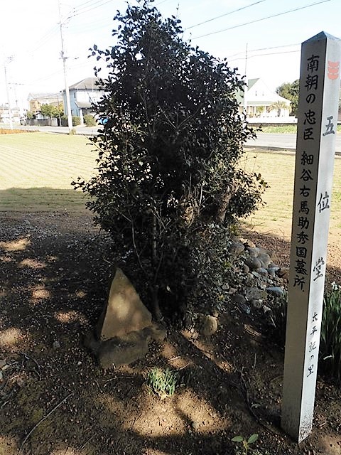 細谷秀国の墓所（五位堂）