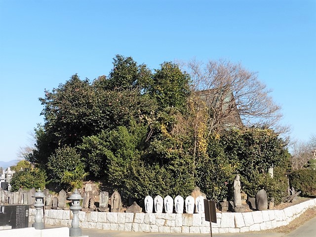 長昌寺Ａ号墳