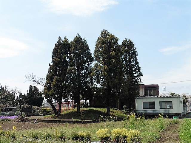 玉村町１９号墳