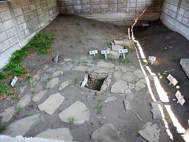 小室敷石住居跡