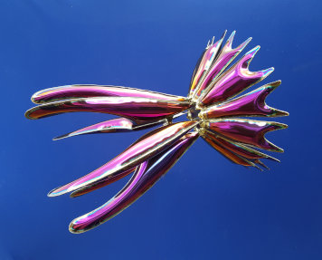 Weltraum-Qualle, www.wuensch-art.de