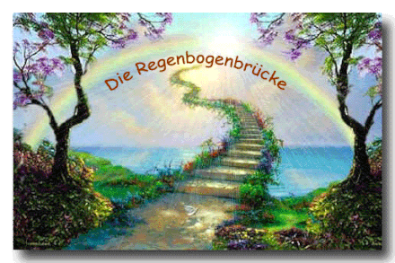 Eine Brücke verbindet den Himmel und die Erde.  Wegen der vielen Farben nennt man sie die Brücke des Regenbogens.  Auf jener Seite der Brücke liegt ein Land mit Wiesen, Hügeln und saftigen, grünen Gras. Wenn ein geliebtes Tier auf der Erde für immer einge