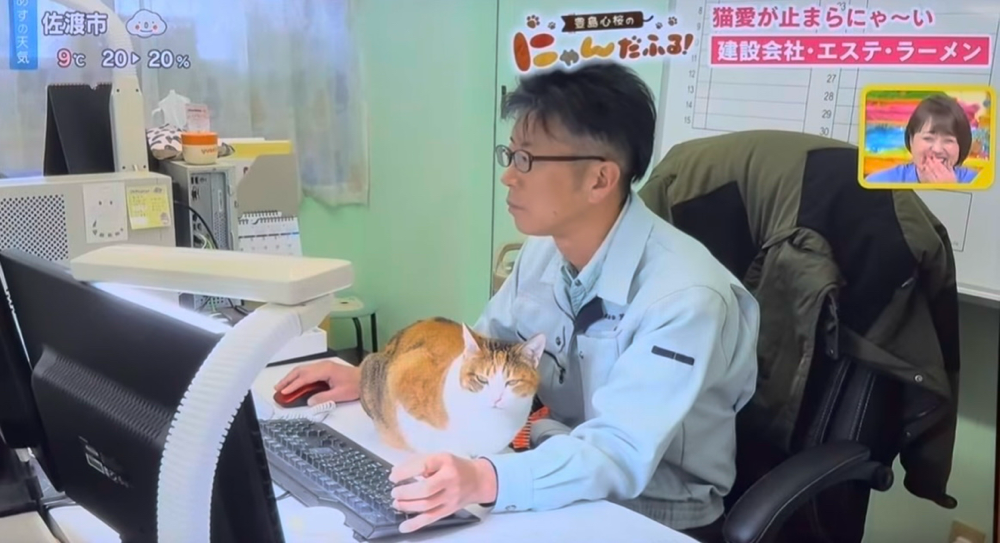TVに動じず、大好きな林常務の腕の中を確保するシロ。