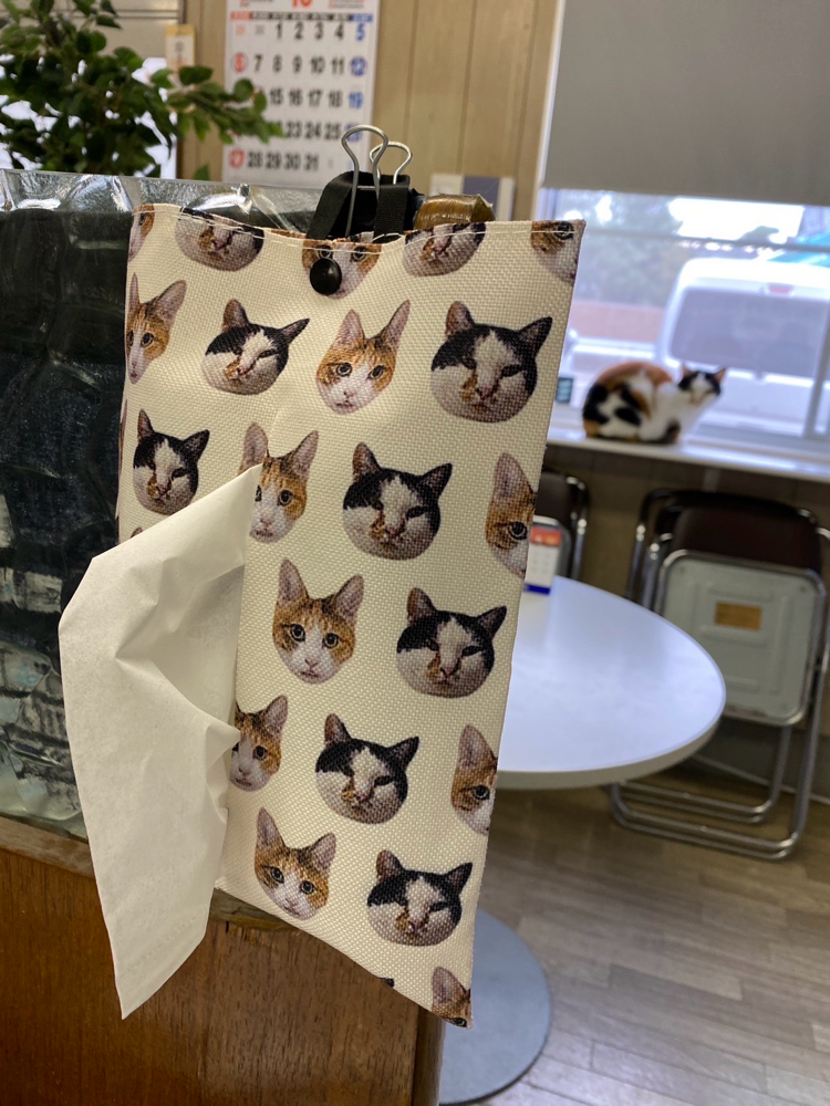 あれ…奥からめっちゃこっち見てる…