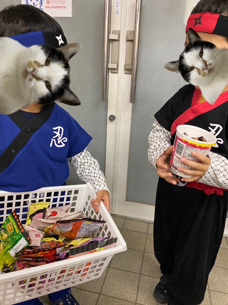 かわいいなぁー！NINJA!