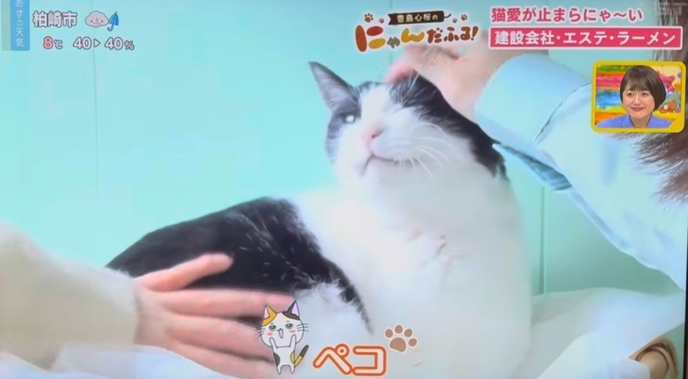 さすが！キャメラも余裕な安定のペコ！