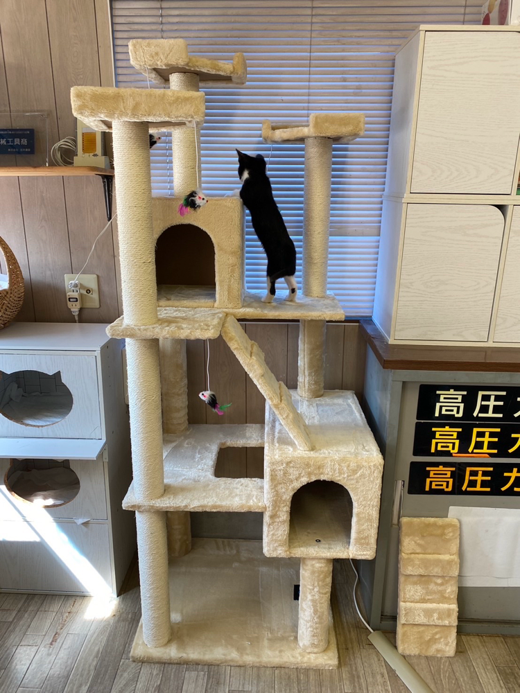 完成でーす！